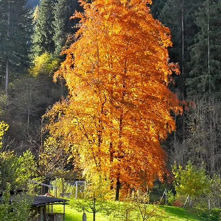 Gasthof Edelweiss 3*