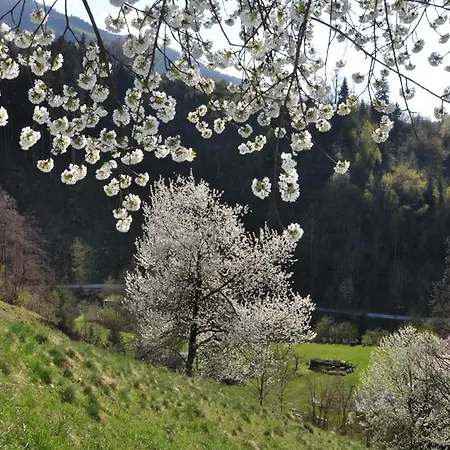 Maison d'hôtes Gaestehaus Edelweiss
